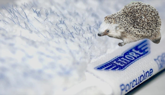 Ettore Einwascher Microfaser Porcupine „Igel“ Pro+ komplett