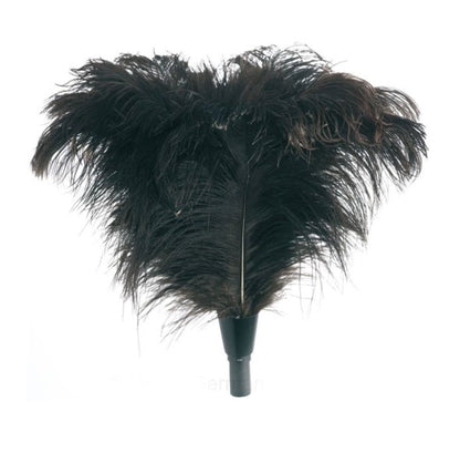 Strauß Staubwedel - Staubbürste für Teleskopstange