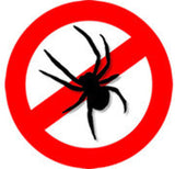 Antispin Biologische Anti-Spinnen Insektenmittel